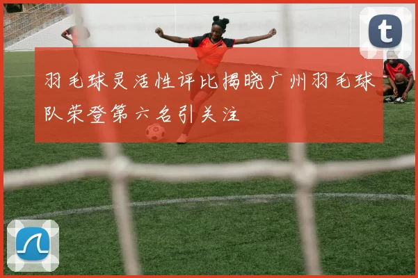 羽毛球灵活性评比揭晓广州羽毛球队荣登第六名引关注