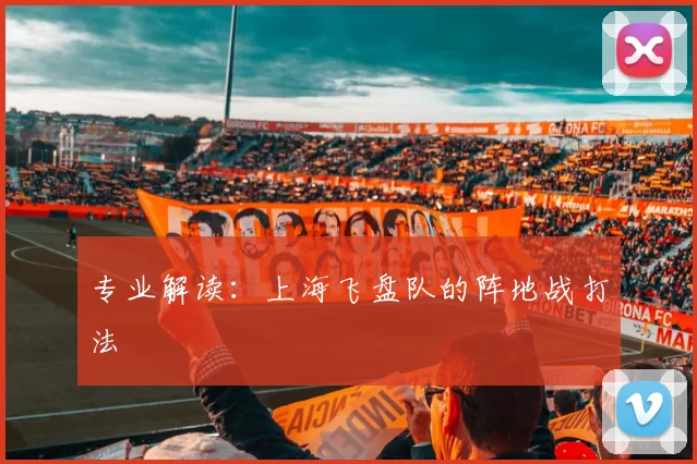 专业解读：上海飞盘队的阵地战打法