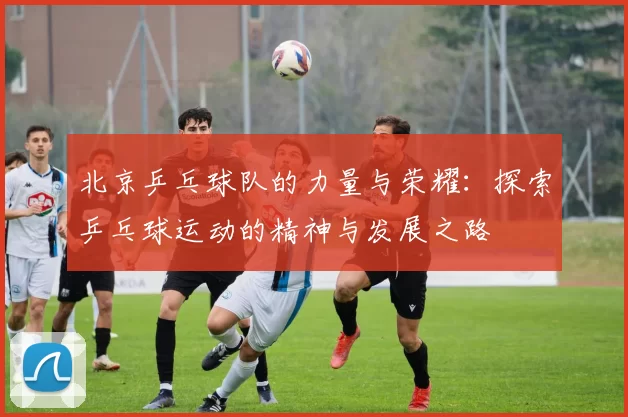 北京乒乓球队的力量与荣耀：探索乒乓球运动的精神与发展之路