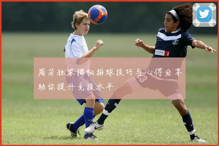 周芳独家揭秘排球技巧与心得分享助你提升竞技水平