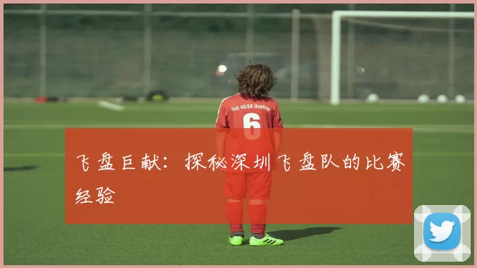 飞盘巨献：探秘深圳飞盘队的比赛经验