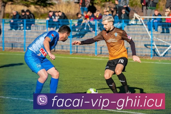 乐鱼体育APP 高清赛事图